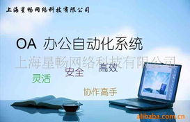 上海星畅网络科技 构筑未来，连接无限可能——专业的网络技术服务提供商