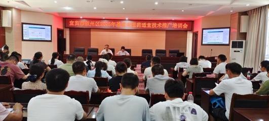 宜宾市第三中医医院 以技术推广服务为引擎，全面激活中医药发展新动能