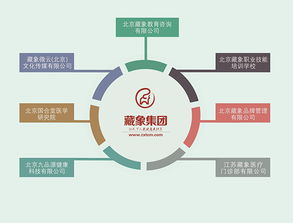 藏象集团 引领网络技术服务新纪元，赋能企业数字化转型
